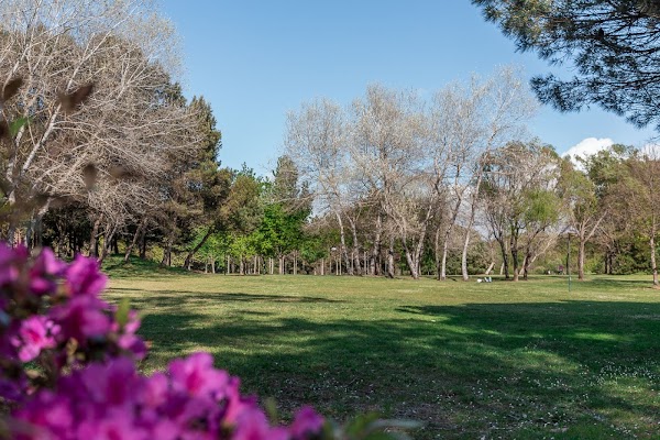 Parque da Cidade do Porto 6