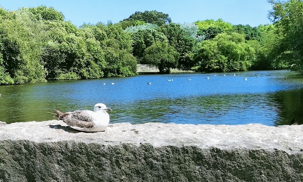 Parque da Cidade do Porto 5