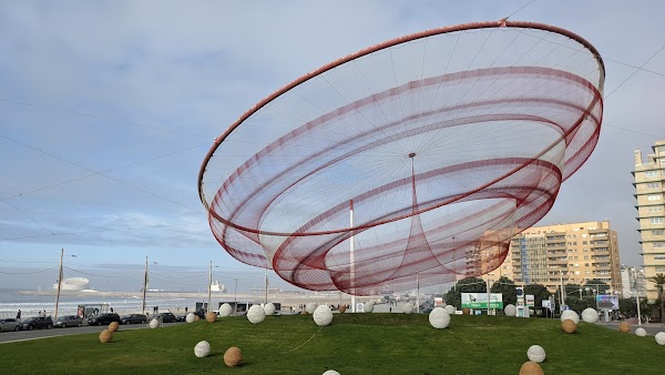 Parque da Cidade do Porto 3