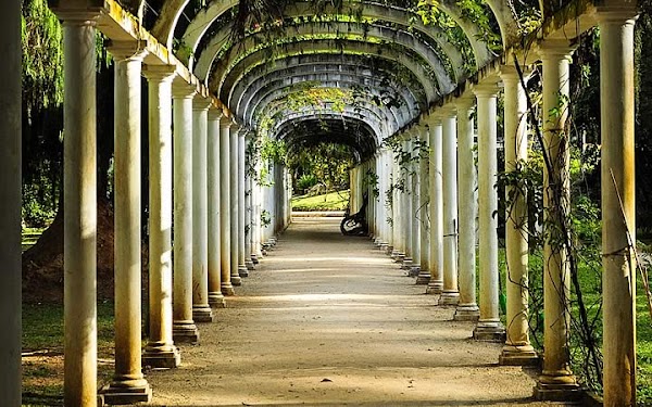 Botanical Garden of Rio de Janeiro 5