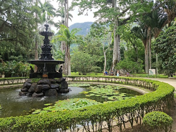 Botanical Garden of Rio de Janeiro 3