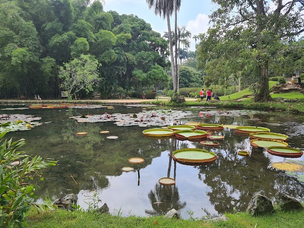 Botanical Garden of Rio de Janeiro 2