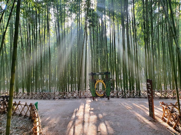 Taehwagang National Garden