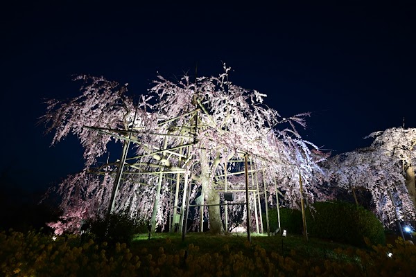 Uji City Botanical Park 3