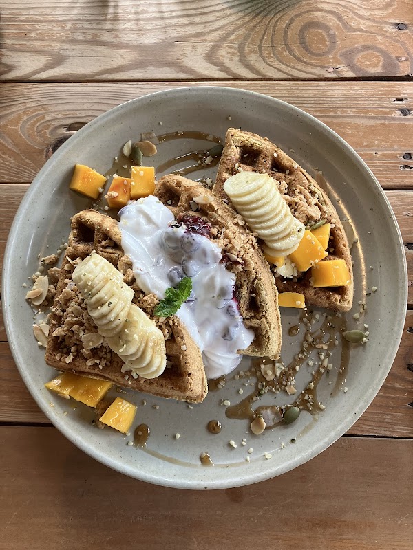 Ver De Puerto Princesa 4