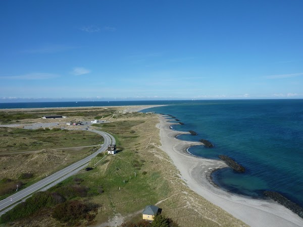 Grenen