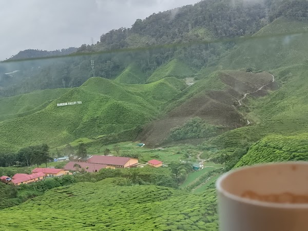Bharat Tea Plantations Sdn. Bhd. 2