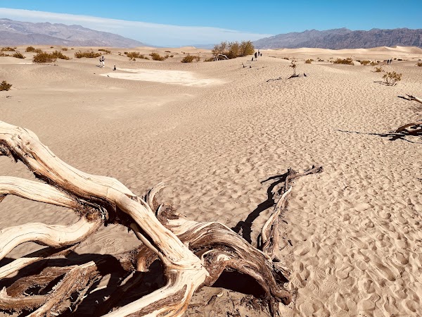 Mesquite Flat Sand Dunes 5