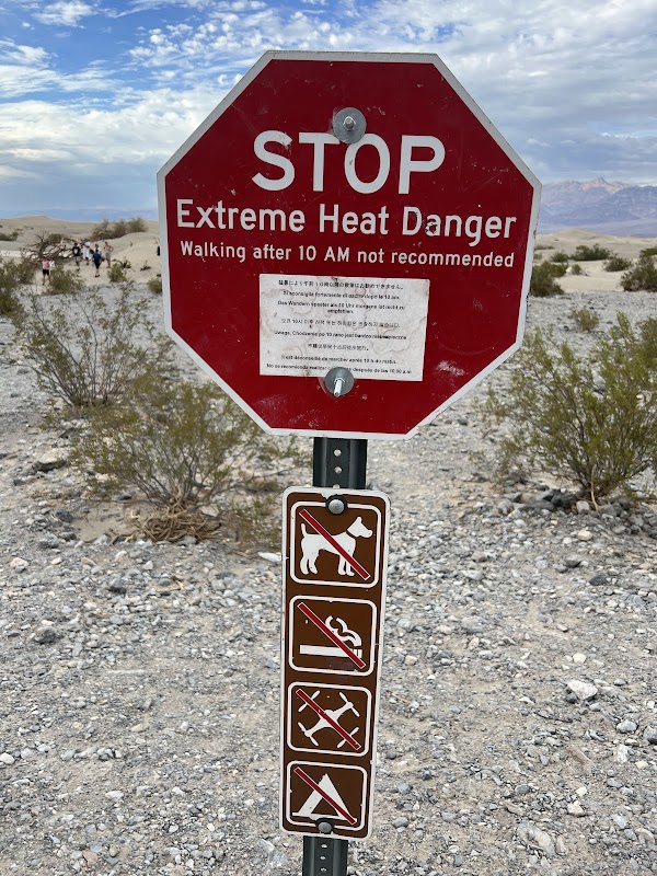 Mesquite Flat Sand Dunes 4