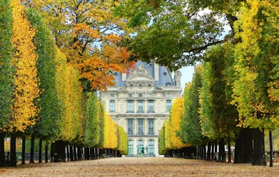 Tuileries Garden 6