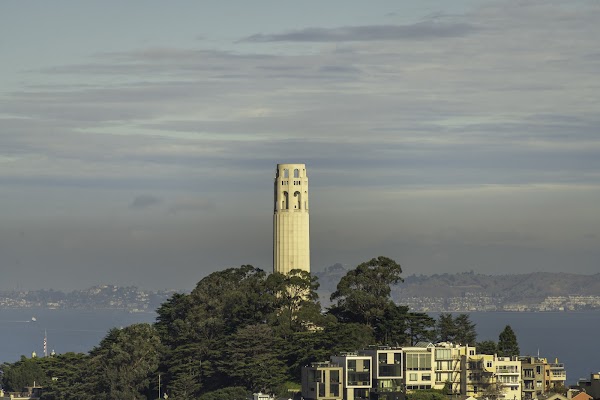 Coit Tower 5