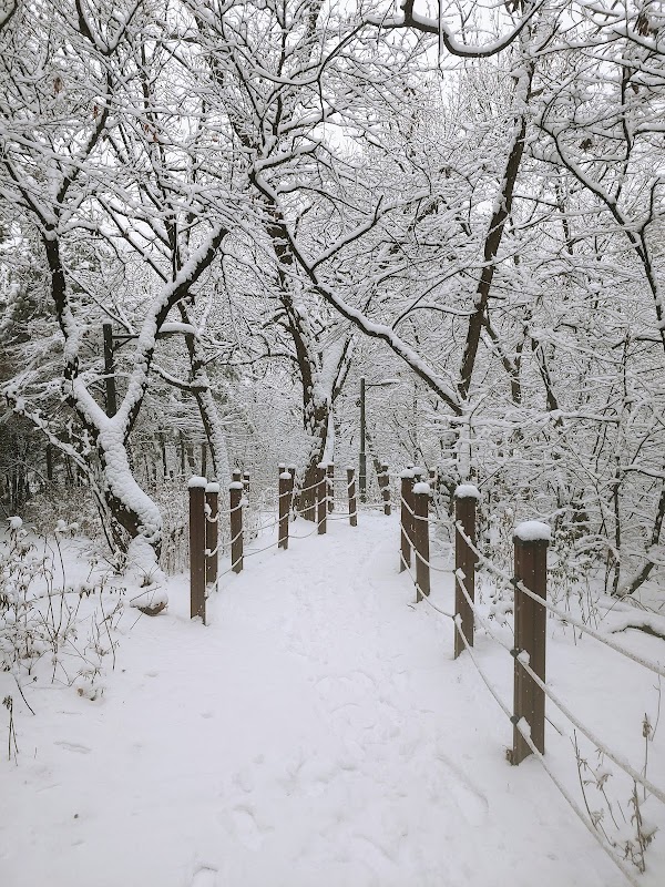 University of Seoul