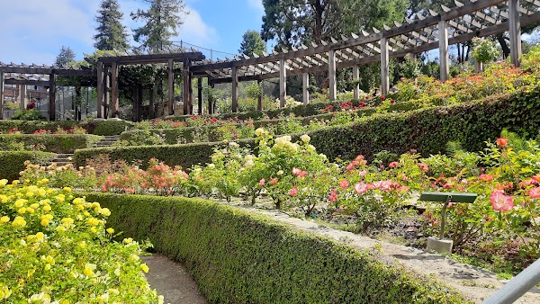 Berkeley Rose Garden