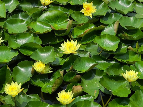 Gwanggyo Lake Park 3