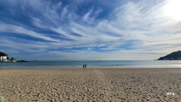 송정해수욕장 3