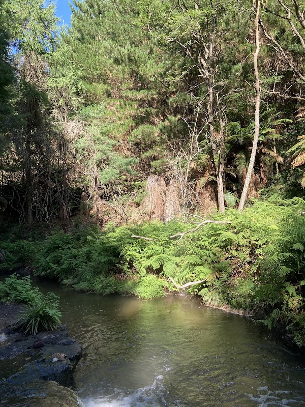 Kerosene Creek 5