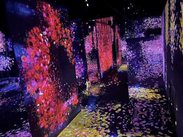 teamLab SuperNature Macao