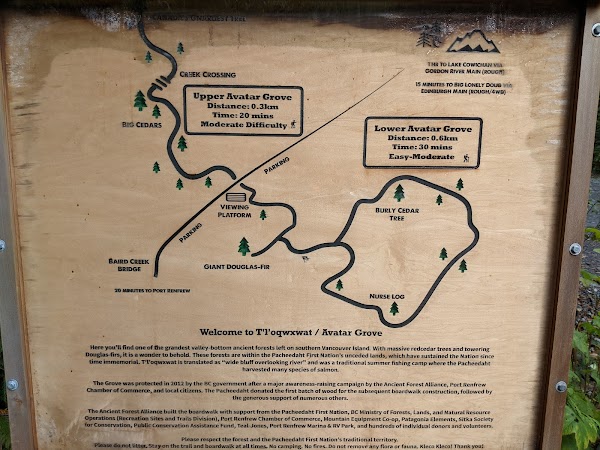 Upper Avatar Grove 3