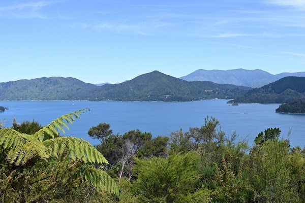 Kenepuru Sound