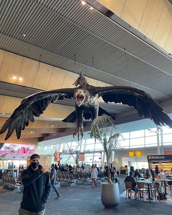 Wellington International Airport