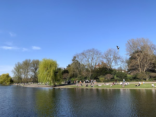 The Regent's Park 6