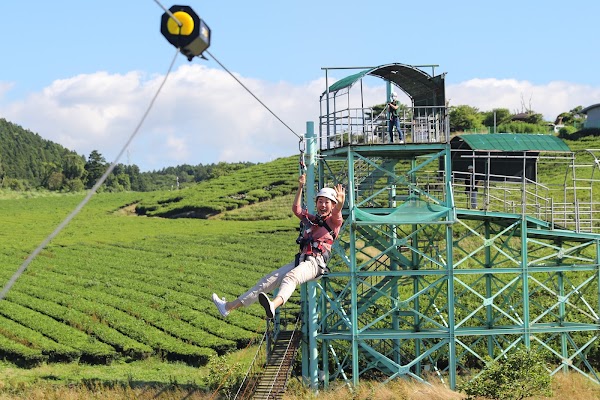 Jeju LAF (Jeju Light Art Festa) 3