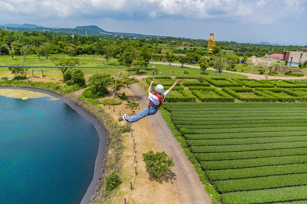 Jeju LAF (Jeju Light Art Festa) 2