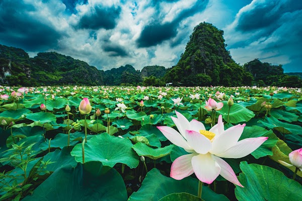 Hang Múa (Mua Caves) 3