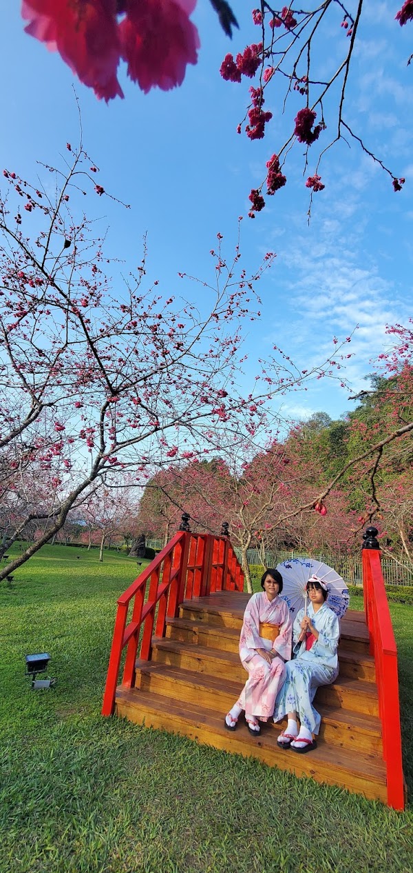 Formosan Aboriginal Culture Village 5