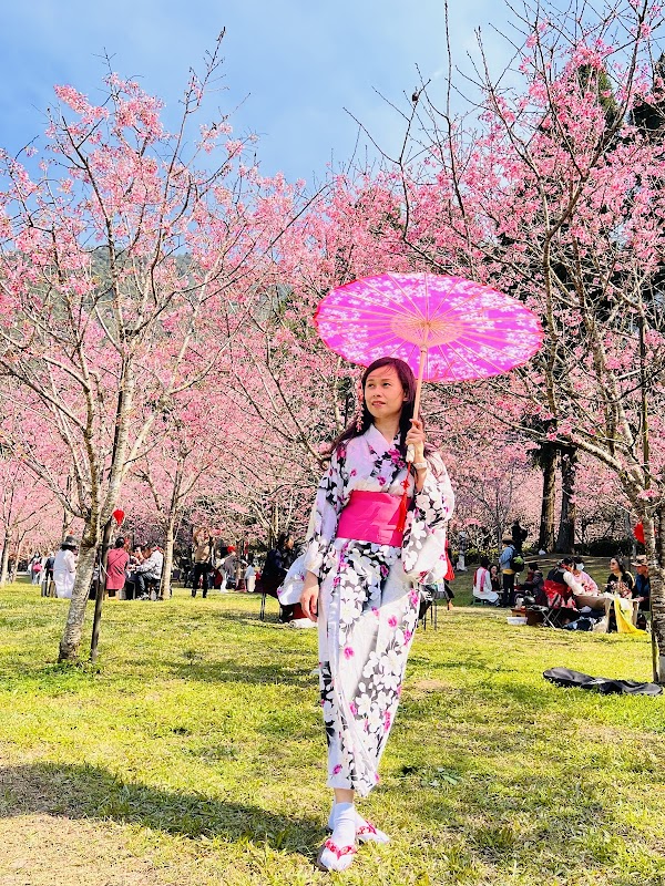 Formosan Aboriginal Culture Village 3