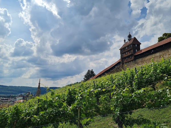 Esslingen am Neckar Castle 4