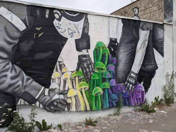 Snösätragränd Wall Of Fame 6