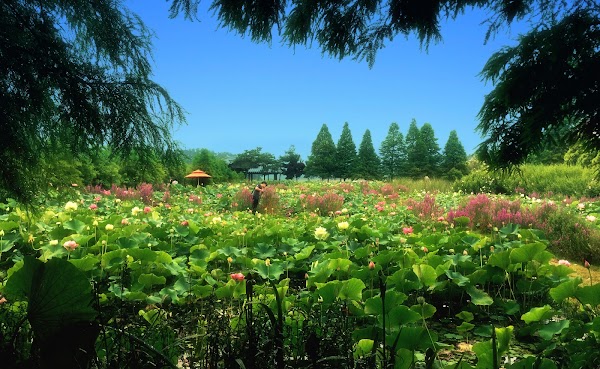 Cheongsan Arboretum