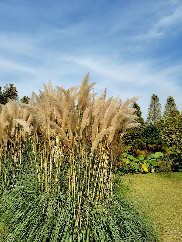 Cheongsan Arboretum 4