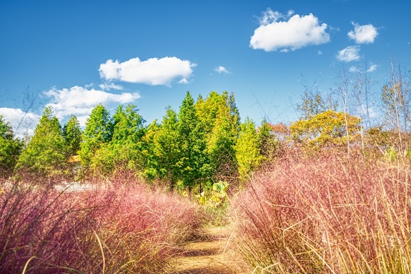 Cheongsan Arboretum 3