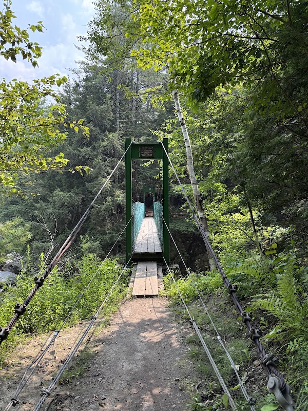 Historic Bob Brugmann Suspension Bridge 1