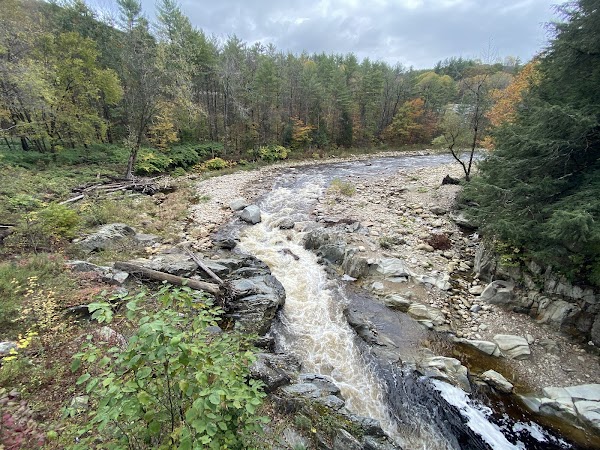Historic Bob Brugmann Suspension Bridge 4