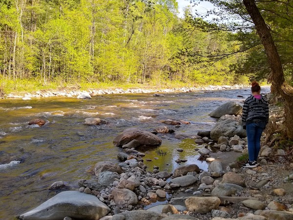 Historic Bob Brugmann Suspension Bridge 2