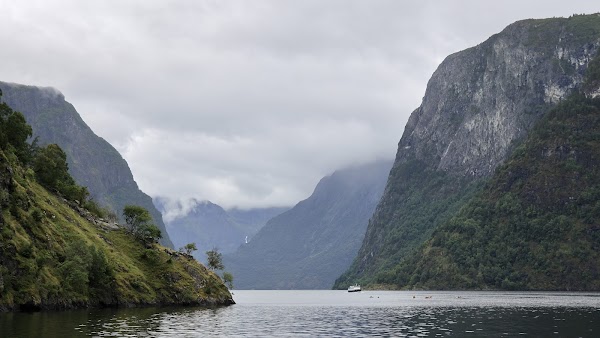 Vestnorsk fjordlandskap