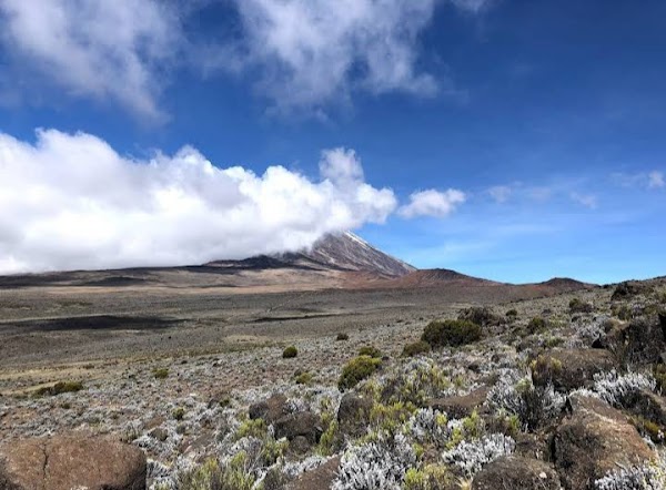 Mount Kilimanjaro 3