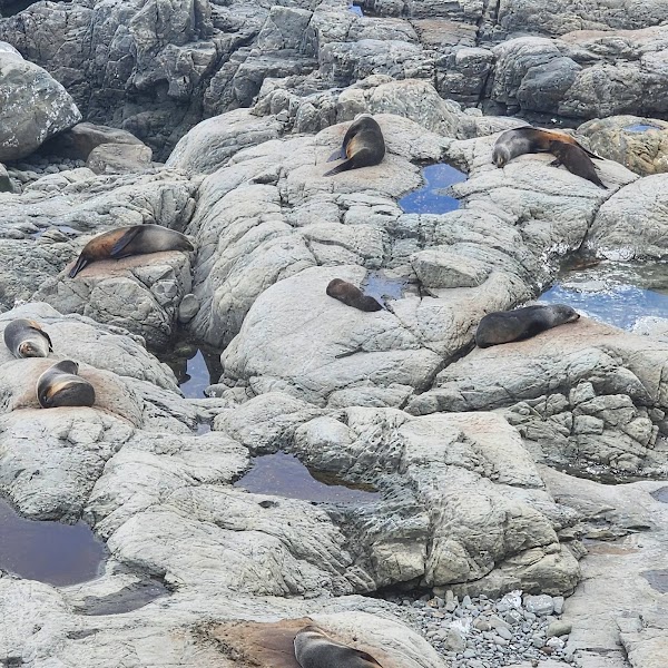 Ohau Point Lookout 5