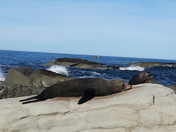 Ohau Point Lookout 3