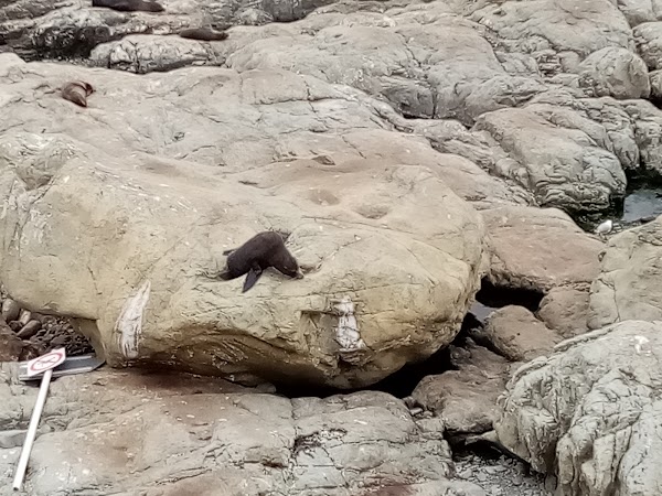 Ohau Point Lookout 2