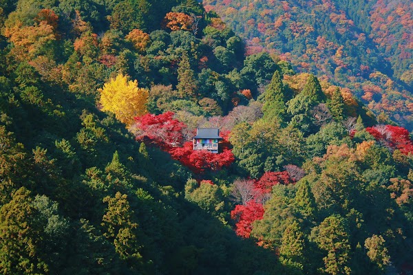 Arashiyama Park viewpoint 4