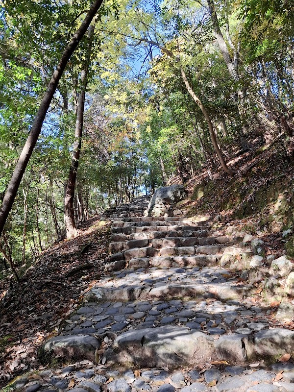 Arashiyama Park viewpoint 2