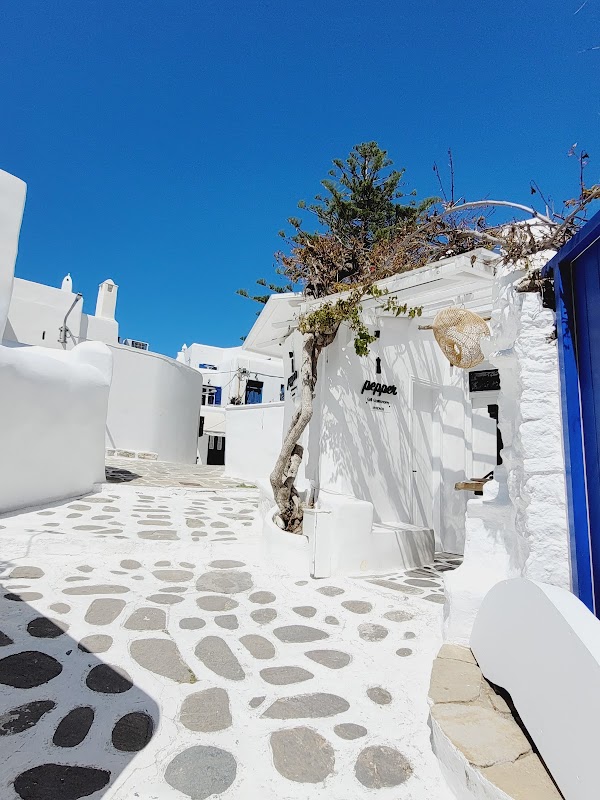 Windmills of Mykonos 6
