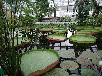 Botanical Garden and Botanical Museum