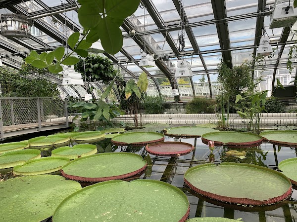 Botanical Garden and Botanical Museum 1