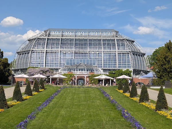 Botanical Garden and Botanical Museum 6