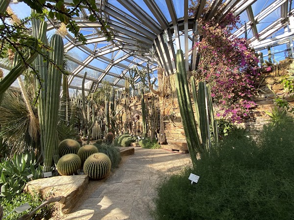 Botanical Garden and Botanical Museum 5